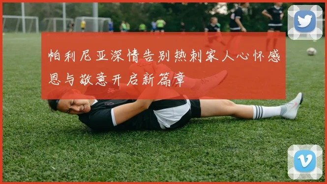 帕利尼亚深情告别热刺家人心怀感恩与敬意开启新篇章